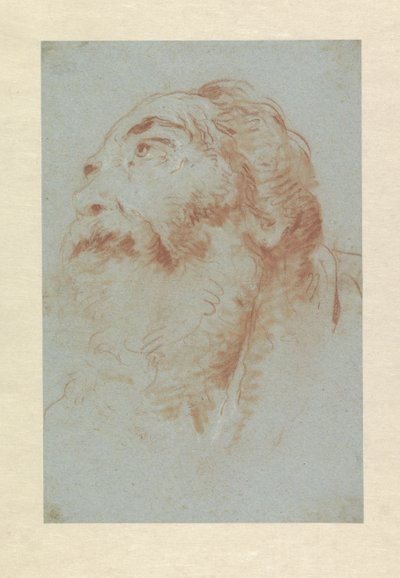 Kopf eines alten Mannes von Giovanni Battista Tiepolo