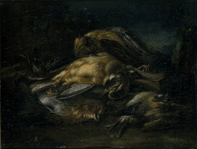 Toter Vogel, 1664 von Giovanni Benedetto Castiglione