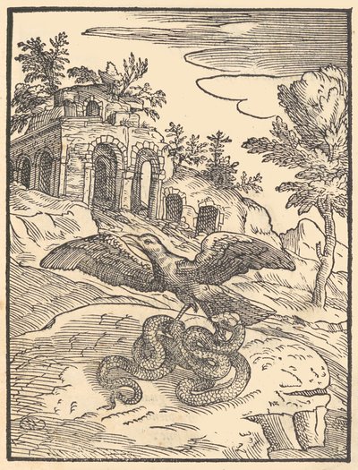 Vogel und Schlange von Giovanni Maria Verdizotti