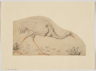 Strauß und Heuschrecke von Giovanni da Udine (after)