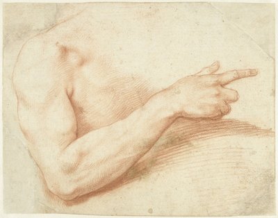 Studie eines Arms von Giuseppe Cesari