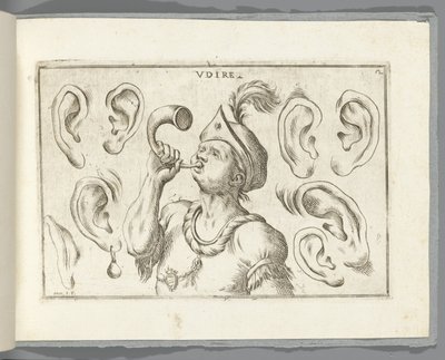 Gehör von Giuseppe Maria Mitelli