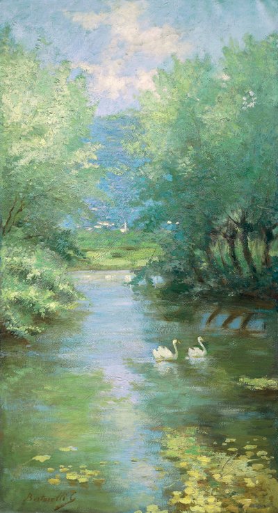 Landschaft mit Schwänen von Guido Bertarelli