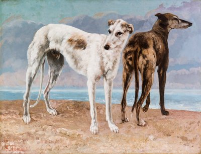 Die Windhunde des Comte de Choiseul von Gustave Courbet