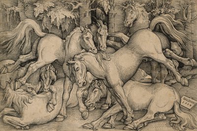 Kämpfende Wildpferde von Hans Baldung Grien