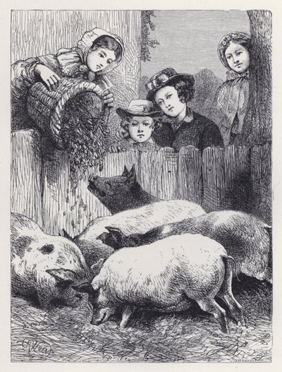 Schweine füttern von Harrison William Weir