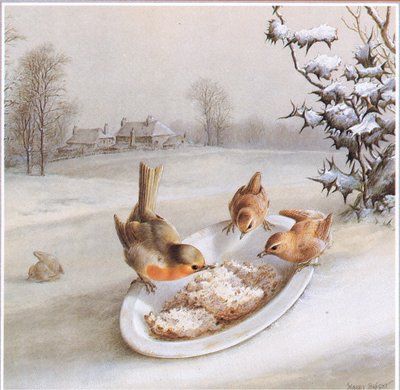 Rotkehlchen und Zaunkönige: Winterfrühstück, Postkarte von Harry Bright