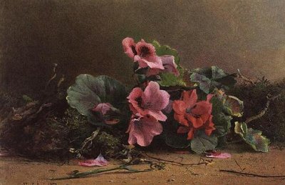 Eine Studie von Geranien von Hector Caffieri