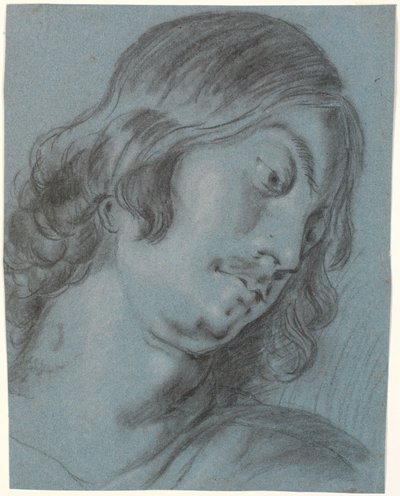 Kopf eines jungen Mannes, nach rechts geneigt von Heinrich Dittmers