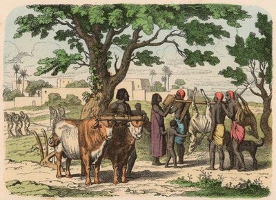 Antikes Ägypten: Landwirtschaft und Jagd von Heinrich Leutemann