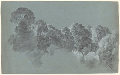 Waldwipfel vom Licht getroffen von Heinrich Rieter
