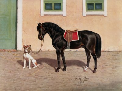 Pferd, Rappe (nach H. Sperling) von Heinrich Sperling