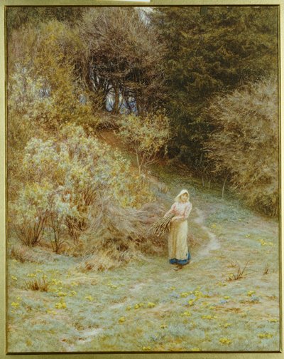 Im Primelwald von Helen Allingham