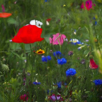 Naturfarbkasten, 2019 von Helen White