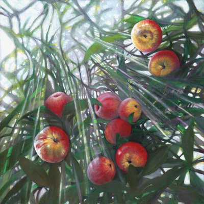 Neues Licht auf Eden, 2016 von Helen White