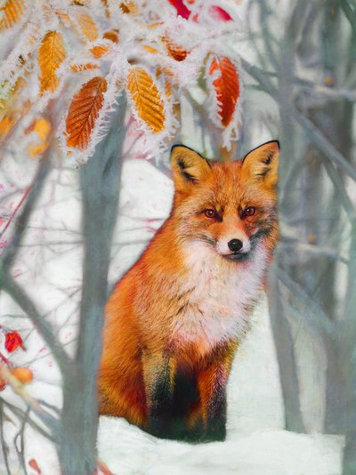 Pristine von Helen White