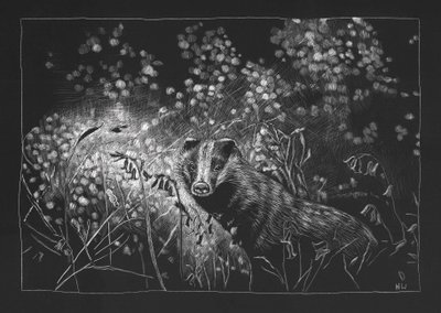 Frühlingsdachs von Helen White