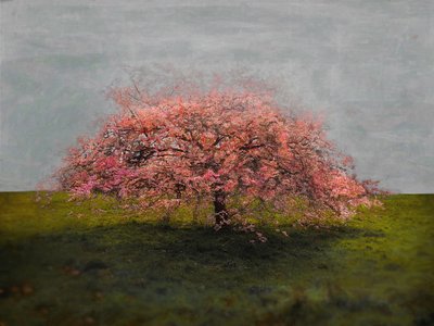 Alleinstehende Schönheit, 2019 von Helen White