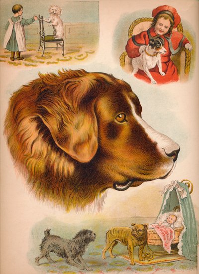 Der Hund von Helena J. Maguire