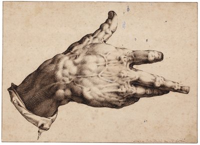 Die rechte Hand des Künstlers von Hendrik Goltzius