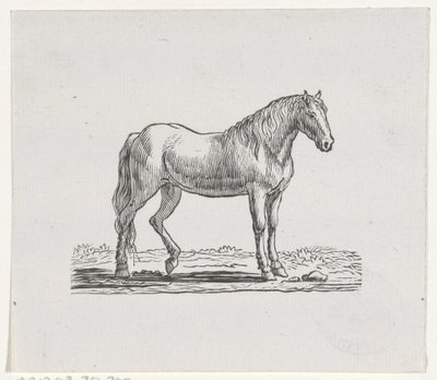 Pferd von Hendrik Numan