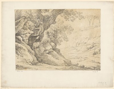 Bewachsene Felsen von Hendrik Voogd