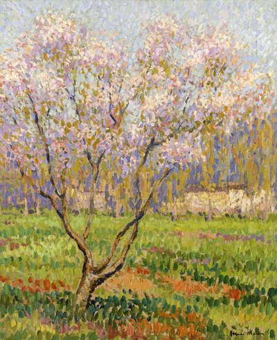 Blühender Apfelbaum von Henri Martin