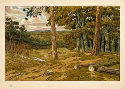 Der Wald von Henri Rivière