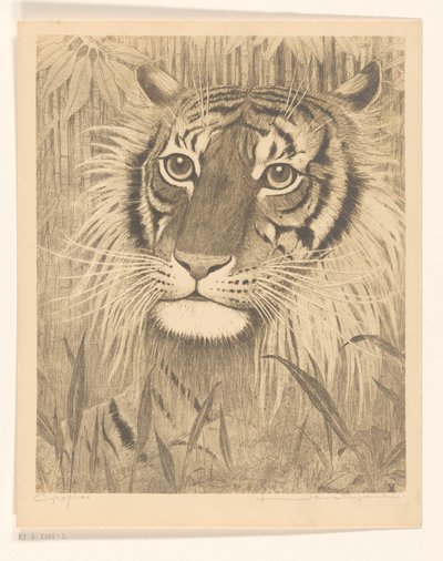 Kopf eines Tigers von Henri Verstijnen (signed by artist)