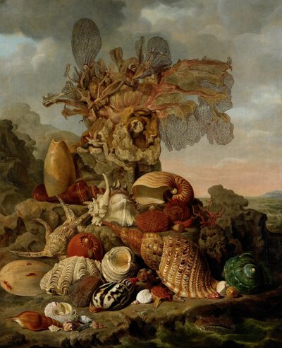 Muscheln und Meerespflanzen von Henricus Franciscus Wiertz