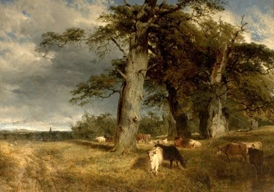 Landschaft in den Dukeries, Nottinghamshire, 1850 von Henry Dawson