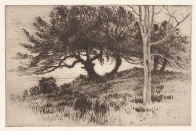 In der Nähe des Meeres von Henry Farrer