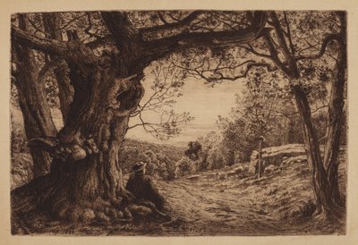Am Hang von Henry Farrer