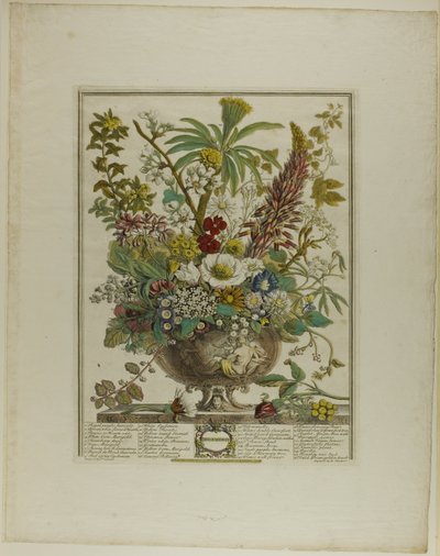 Dezember, aus Zwölf Monate der Blumen von Henry Fletcher