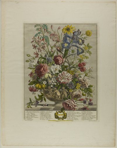 Juni, aus Zwölf Monate der Blumen von Henry Fletcher