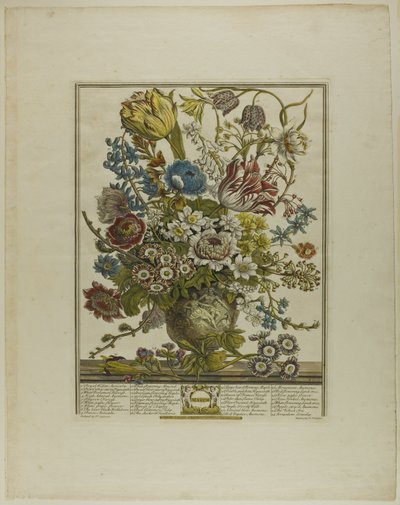 März, aus Zwölf Monate der Blumen von Henry Fletcher