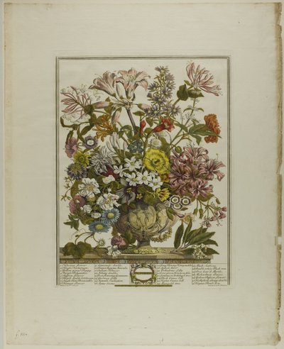 Oktober, aus Zwölf Monate der Blumen von Henry Fletcher