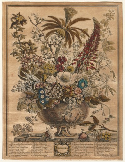 Zwölf Monate Blumen: Dezember, 1730 von Henry Fletcher