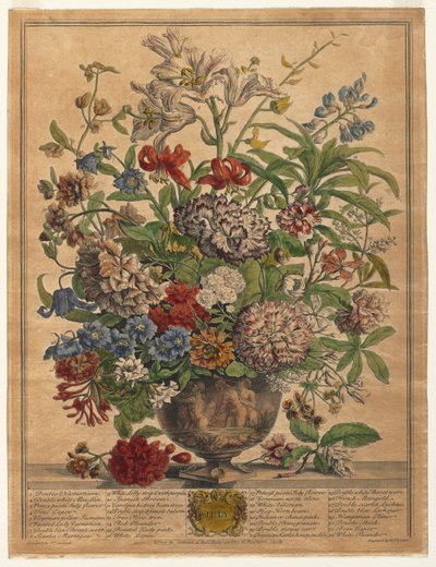 Zwölf Monate der Blumen: Juli, 1730 von Henry Fletcher