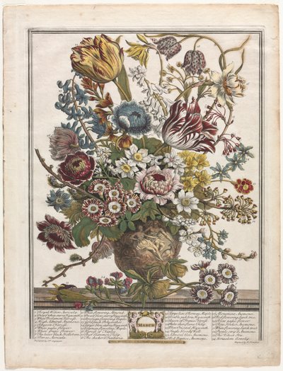 Zwölf Monate der Blumen: März, 1730 von Henry Fletcher