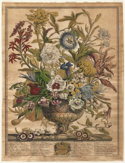 Zwölf Monate der Blumen: September, 1730 von Henry Fletcher