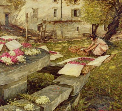 Aktien pflücken von Henry Herbert La Thangue