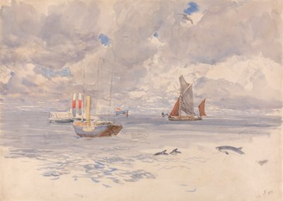 Schweinswale, 7. Juli 1883 von Henry Moore