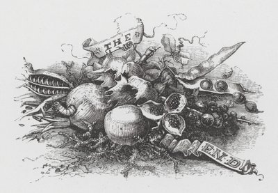 Das Ende von Henry Noel Humphreys