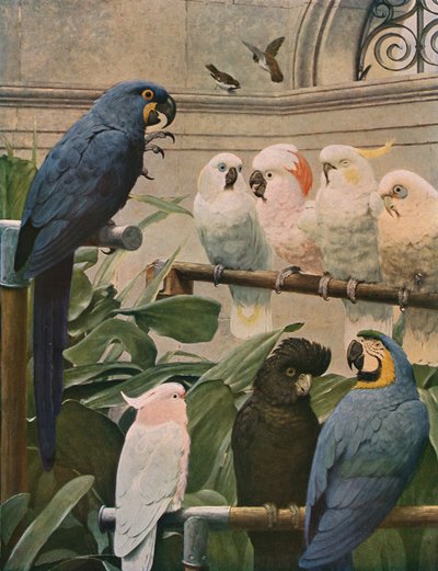 Ein Auswahlausschuss, 1891, um 1930 von Henry Stacey Marks