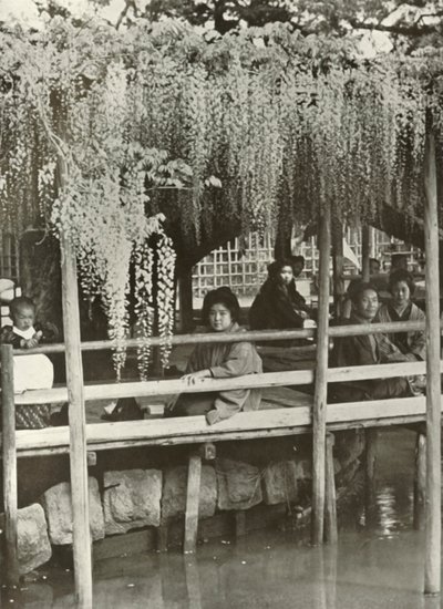 Ein Glyzinienlaubengang in Kameido, 1910 von Herbert Ponting