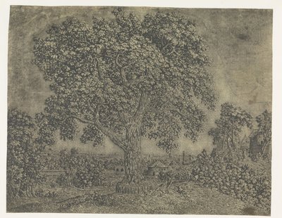 Der große Baum von Hercules Segers