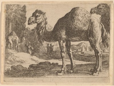 Kamele von Herman van Swanevelt