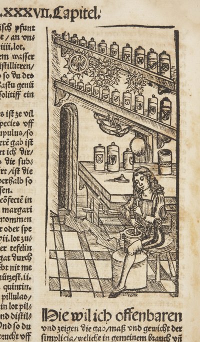 Das Buch zu Distillieren von Hieronymus Brunschwig