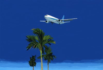 Flugzeug und Palme von Hiroyuki Izutsu